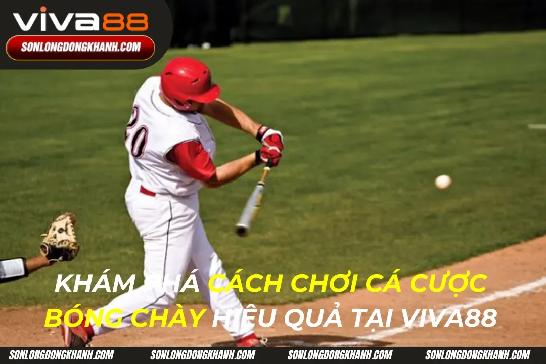 Cách Chơi Cá Cược Bóng Chày Trực Tuyến Tại Viva88